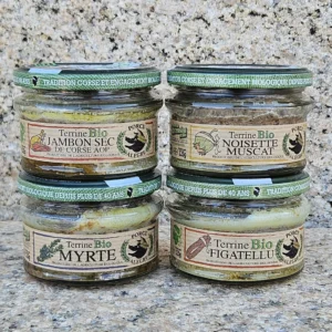 terrine-porcu-alegru